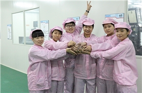 天勢科技 天勢科技