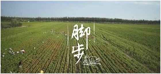 天勢科技 天勢科技