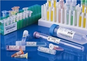 耐低溫標簽 耐低溫標簽