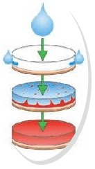 天勢科技-水感標簽 天勢科技-水感標簽