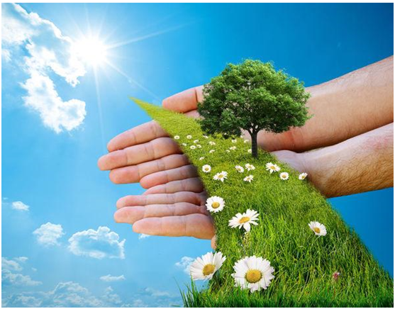 環保標簽 環保標簽